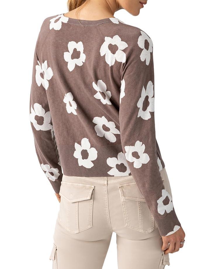 Twigtree Button Back Sweater Product Image
