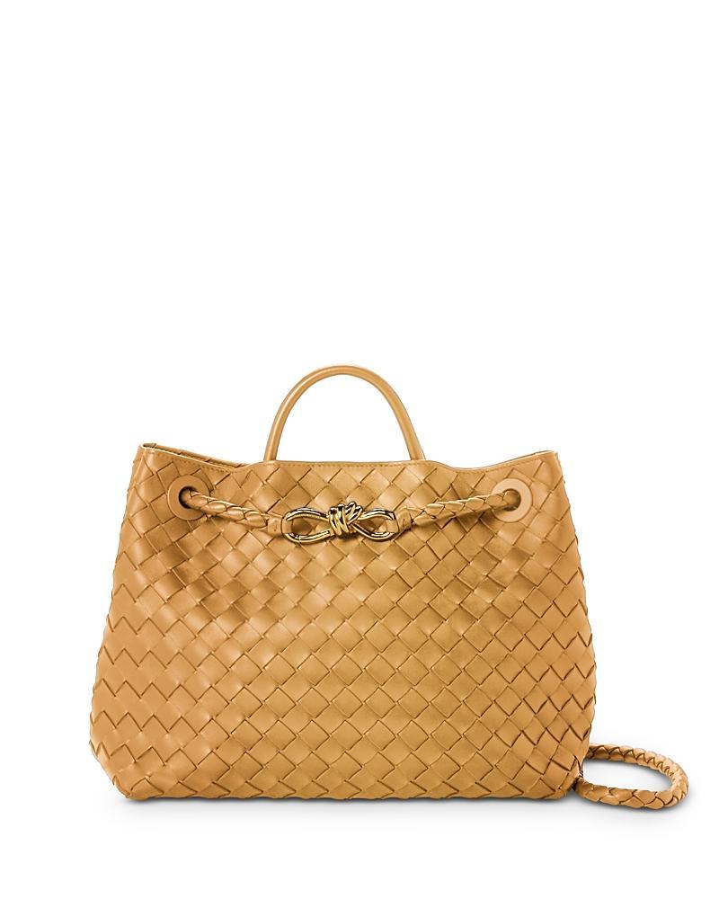 Medium Andiamo Bag Product Image