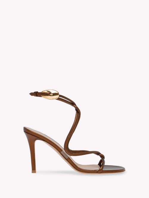 GIANVITO ROSSI Black Mamba 85 Sandals In Brown Product Image