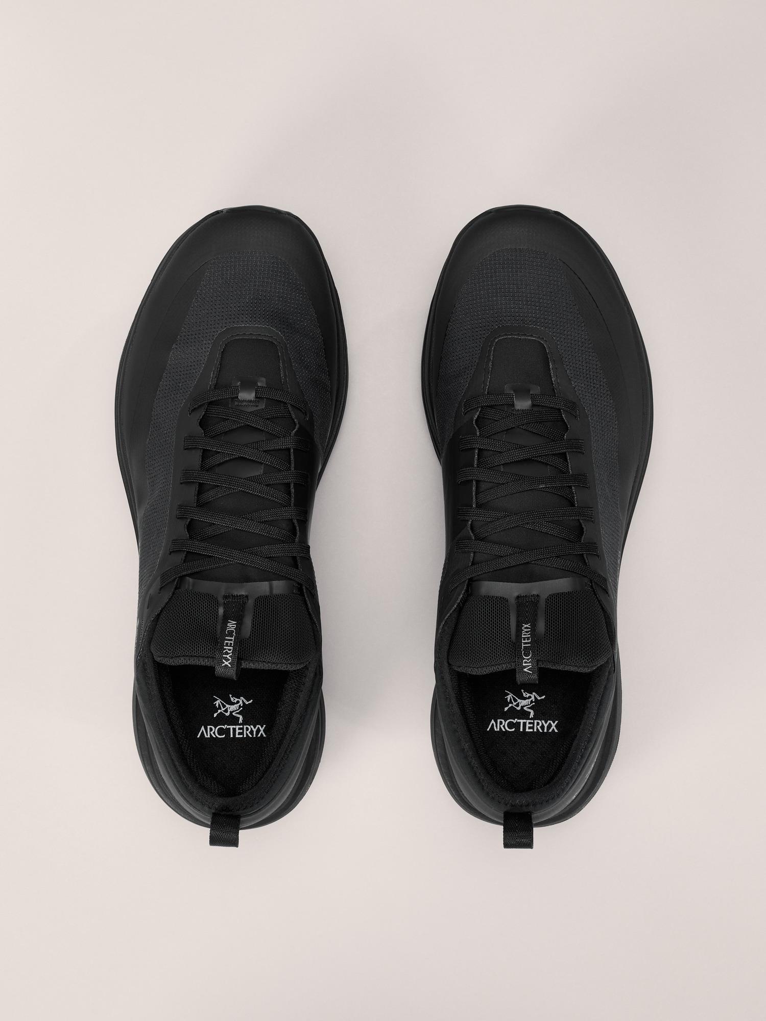 Sylan GTX Shoe Men's Product Image