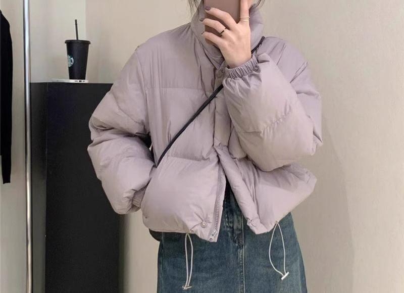 Stand Collar Plain Button Puffer Jacket Product Image