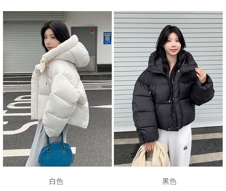 Plain Hooded Zip-Up Crop Puffer Jacket Product Image