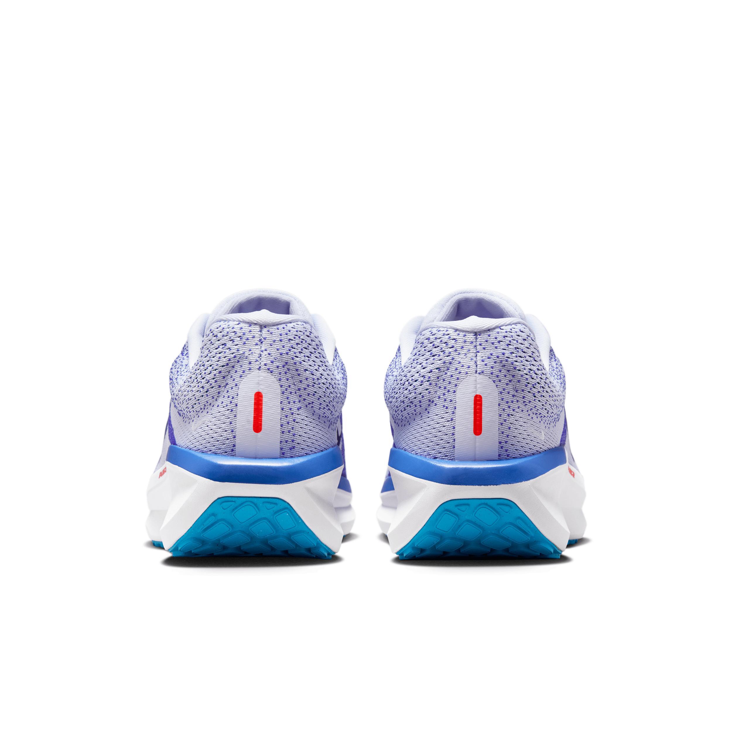 Nike Men's Winflo Road Running Shoes Product Image