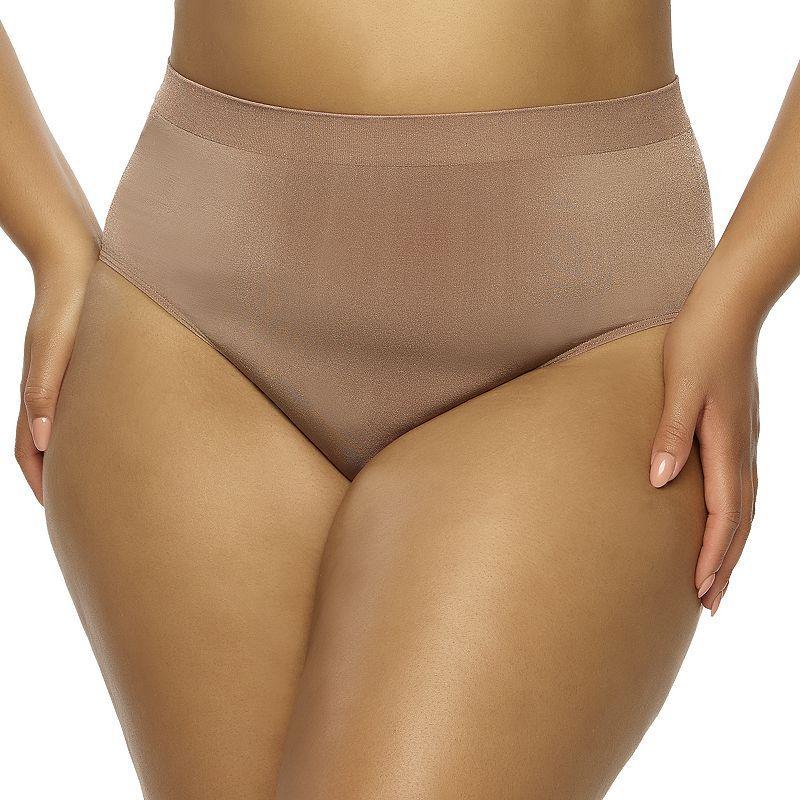 Plus Size Paramour by Felina Body Smooth Brief Panty 655128, Women's, Size: XXL, Sparrow Srw Product Image