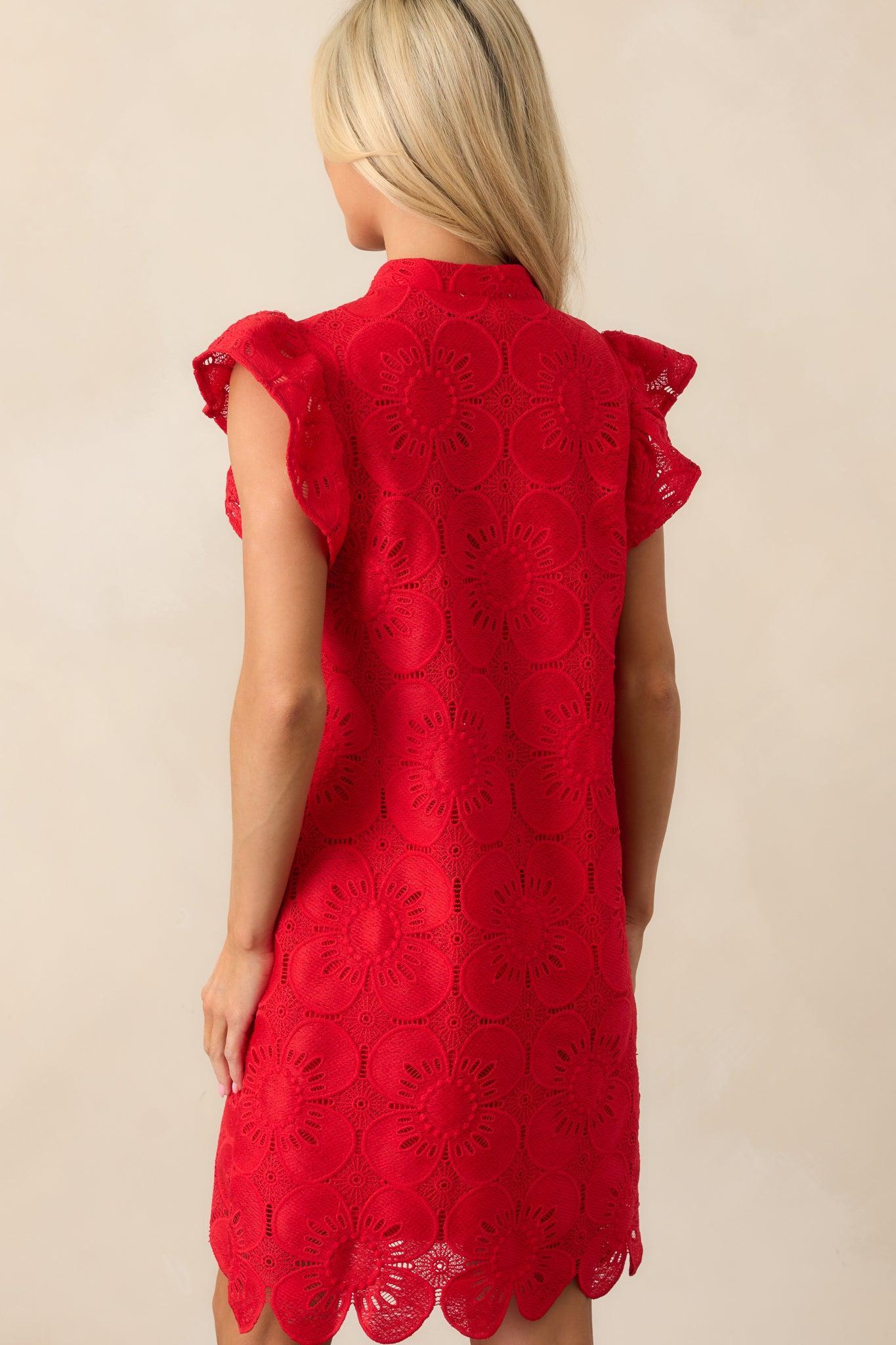 Between The Vines Red Floral Embroidered Mini Dress Product Image