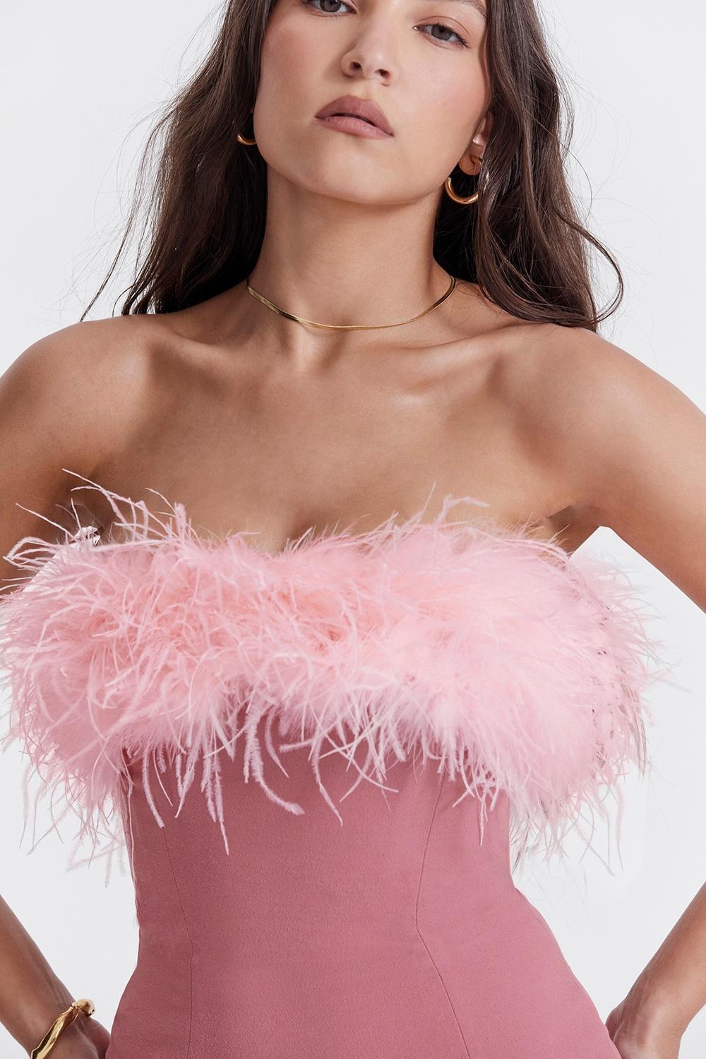 Alexa  warm pink mini dress Product Image