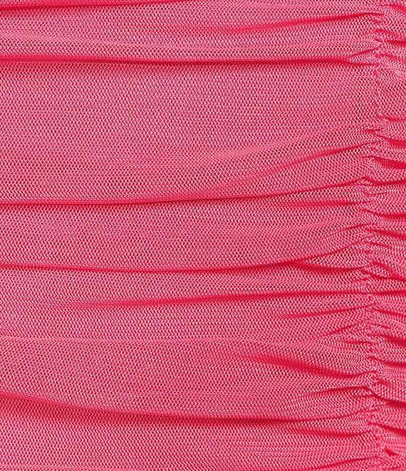 C&V Chelsea & Violet Shirred Mesh Dress Product Image