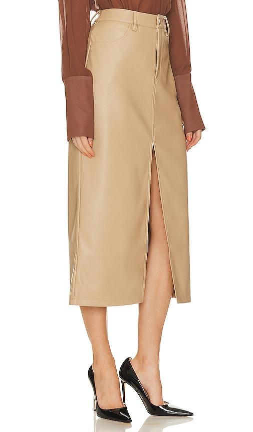 Avani Faux Leather Skirt Product Image