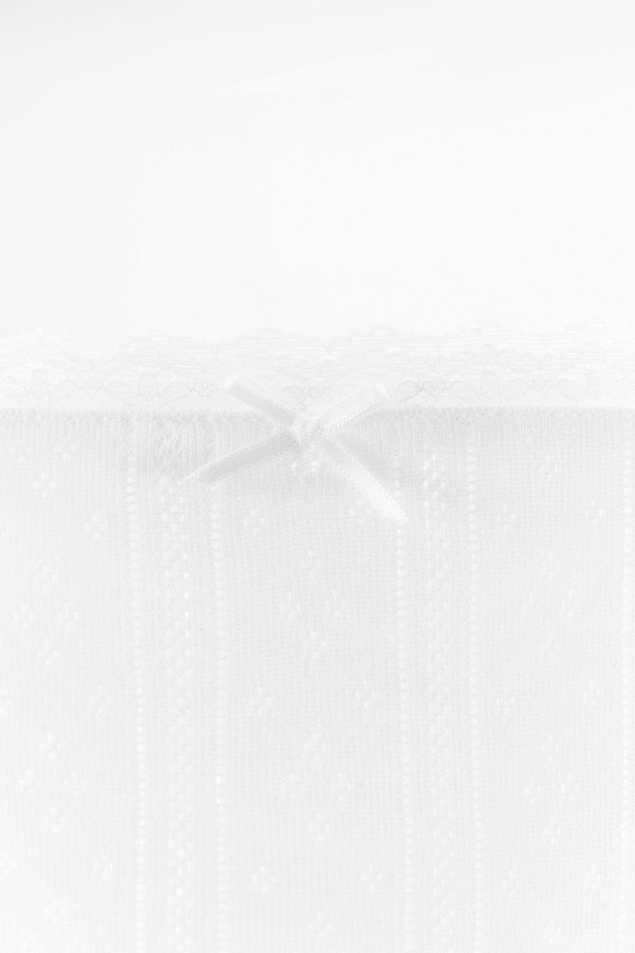 LACE TRIM POINTELLE PANTIES Product Image