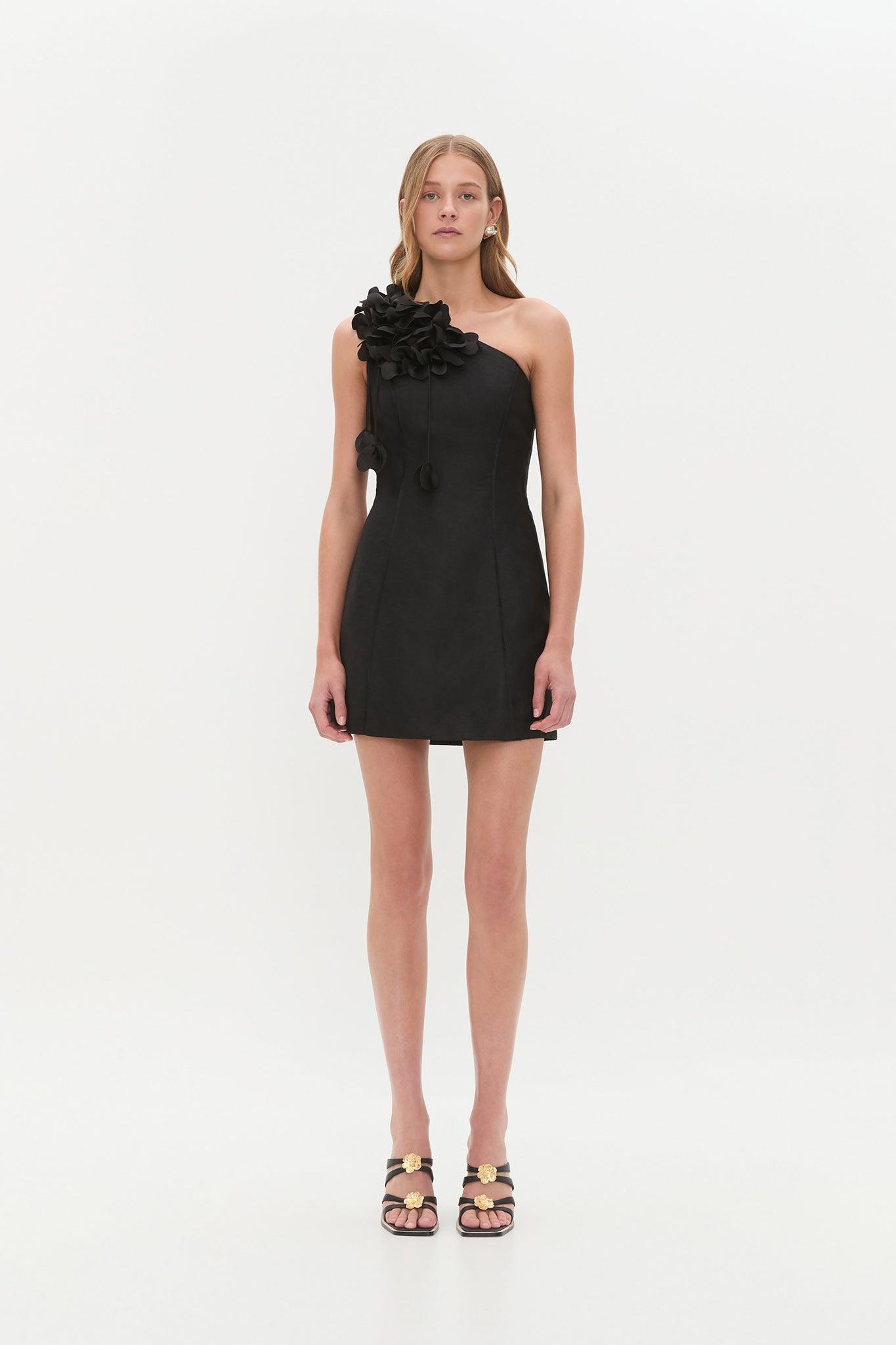 Camille Mini Dress Product Image