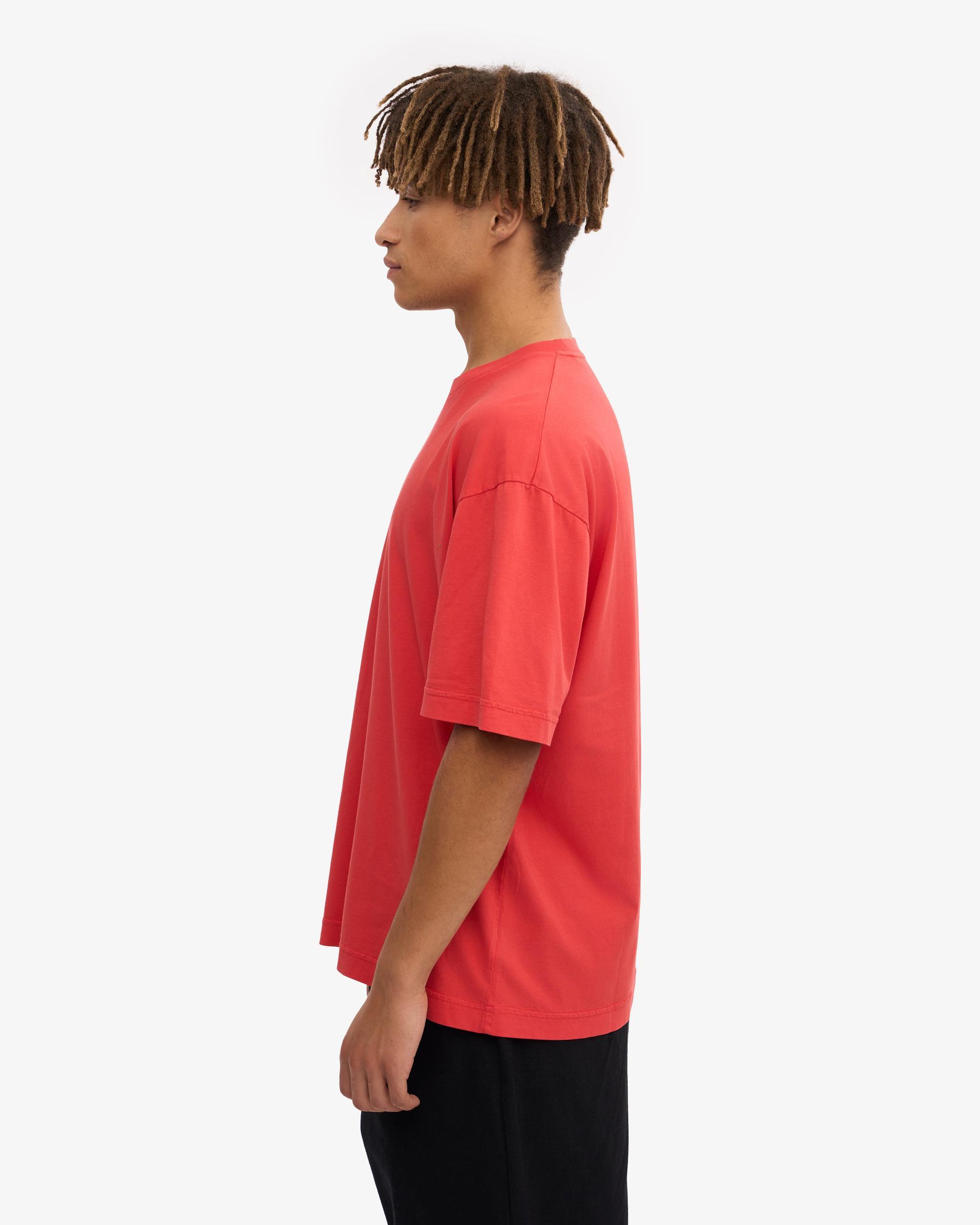 Theory Bron Cotton Polo in Baby Blue Product Image