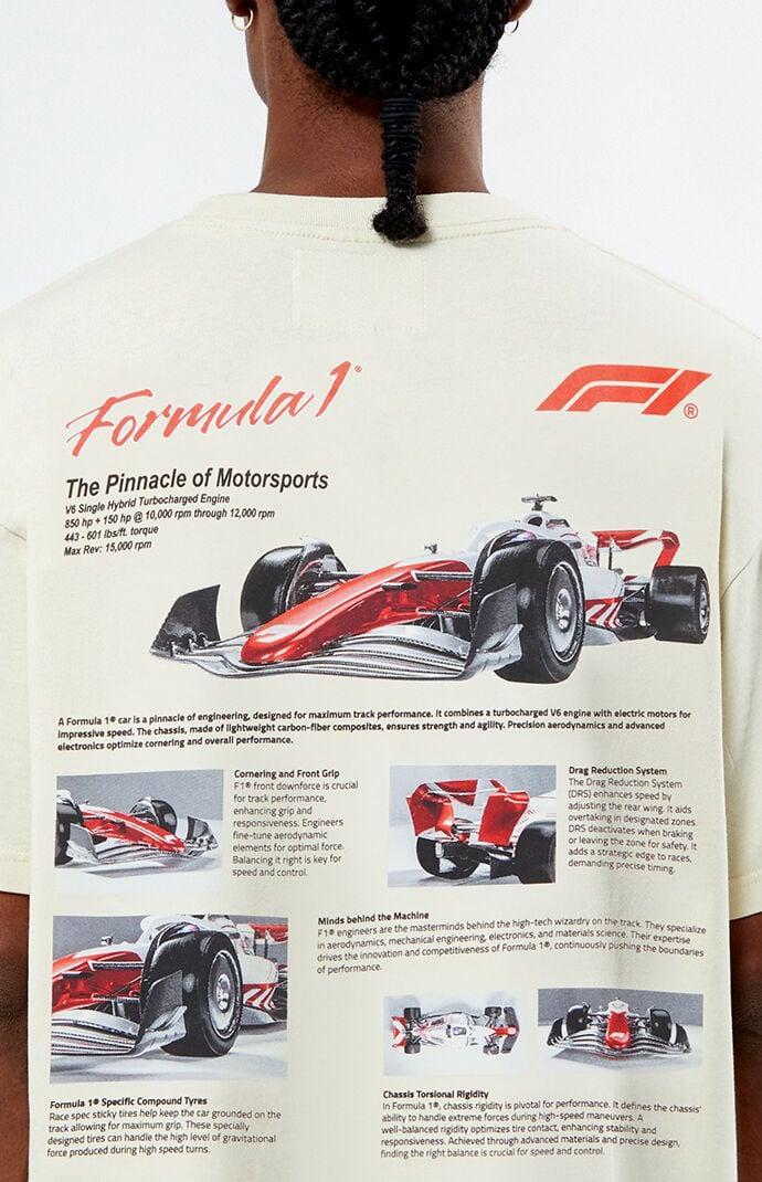 F1 Men's x PacSun Specs Oversized T-Shirt Product Image