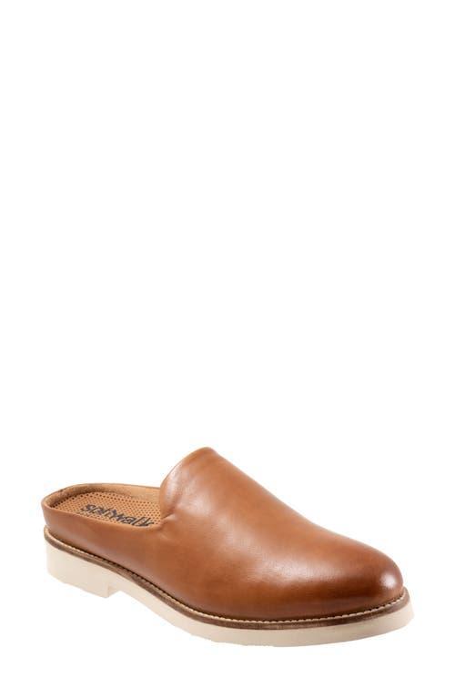 SoftWalk Wolcott II Leather Mules Product Image