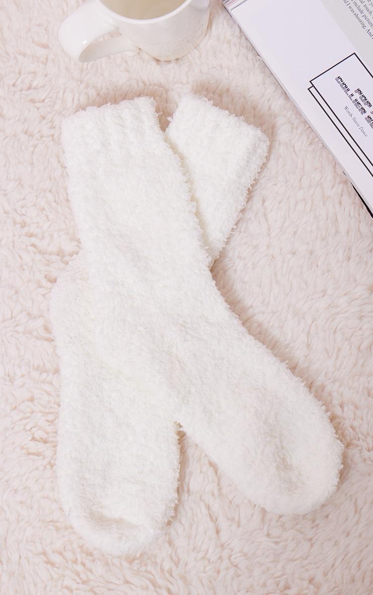 Cream Teddy Borg Socks Product Image