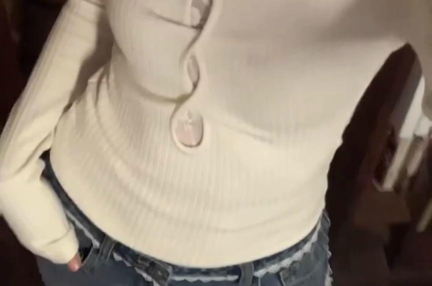 Long Sleeve V-Neck Plain Cutout Panel Lace Top Product Image