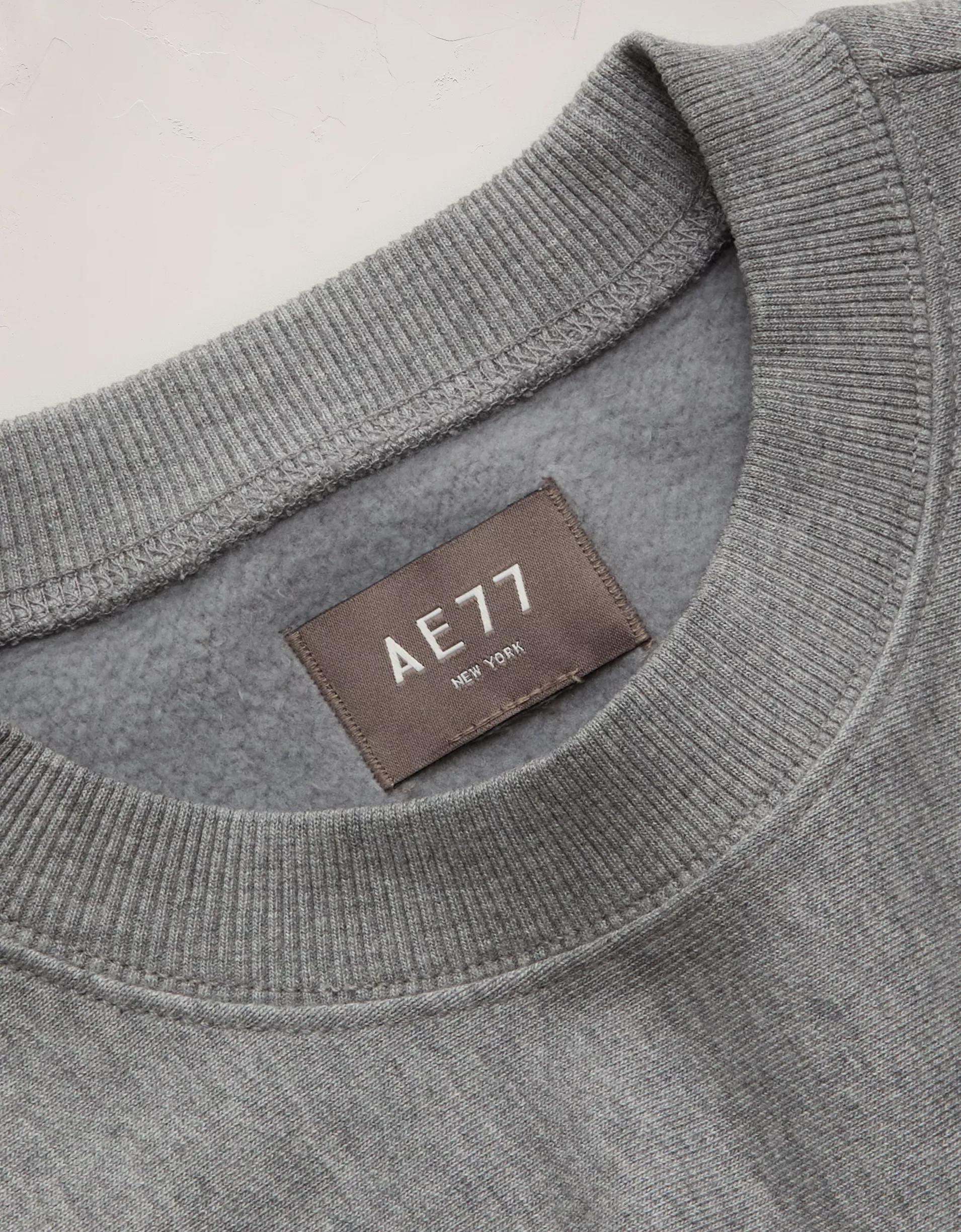 AE77 Premium Oversized Crewneck Sweatshirt Product Image
