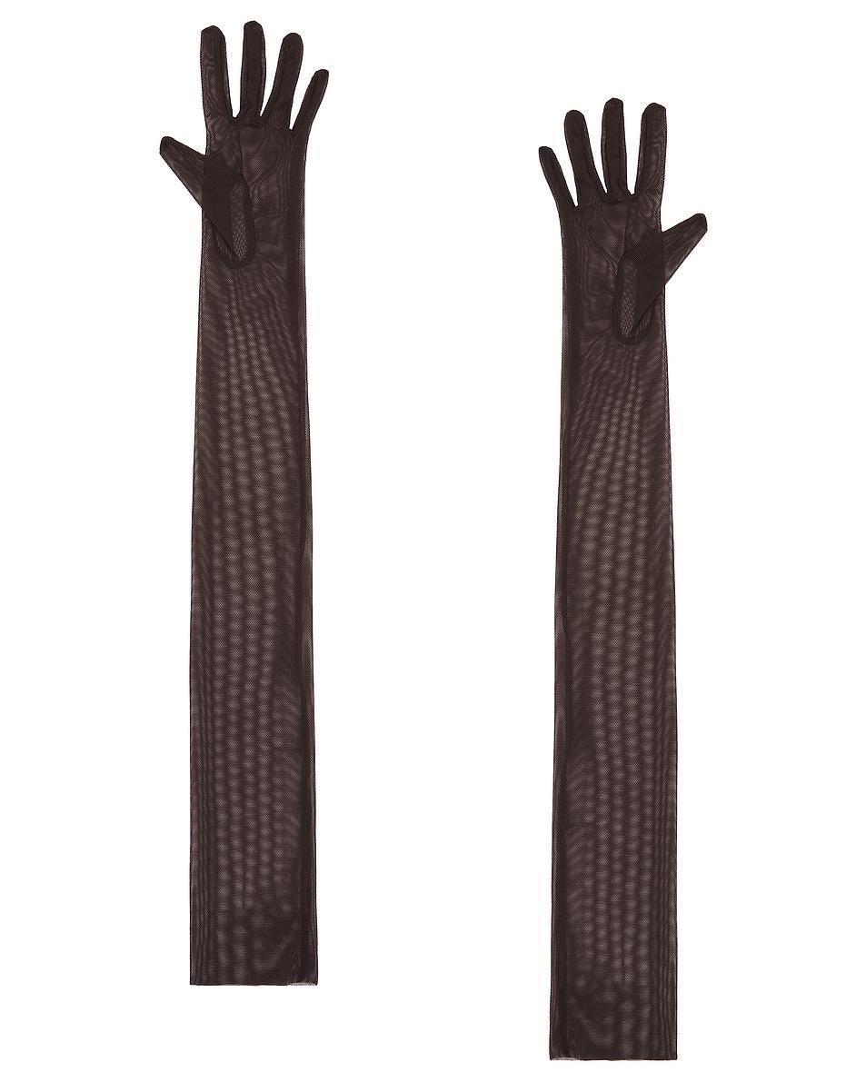 Long Gloves Product Image