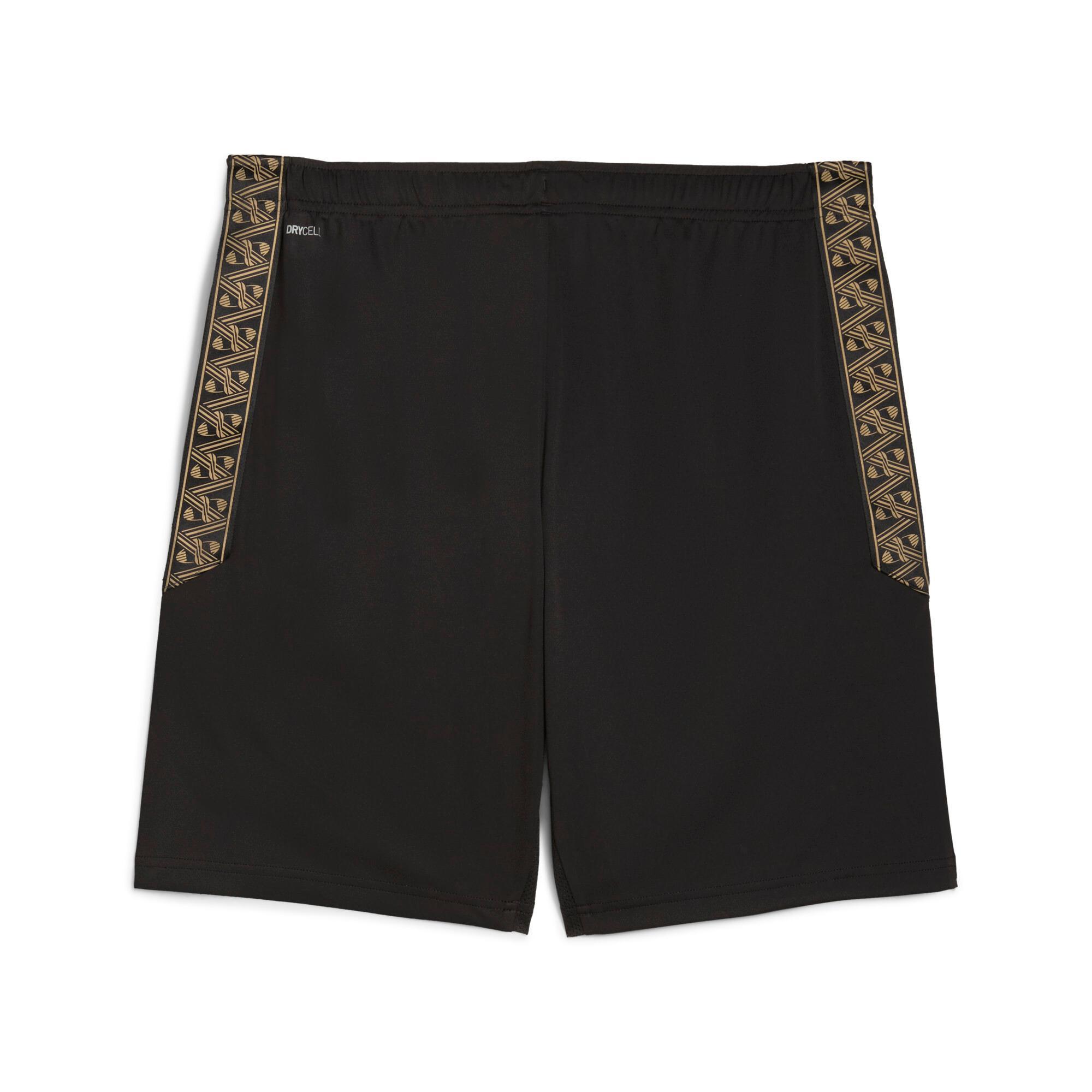 KINGtouch Shorts Men Product Image