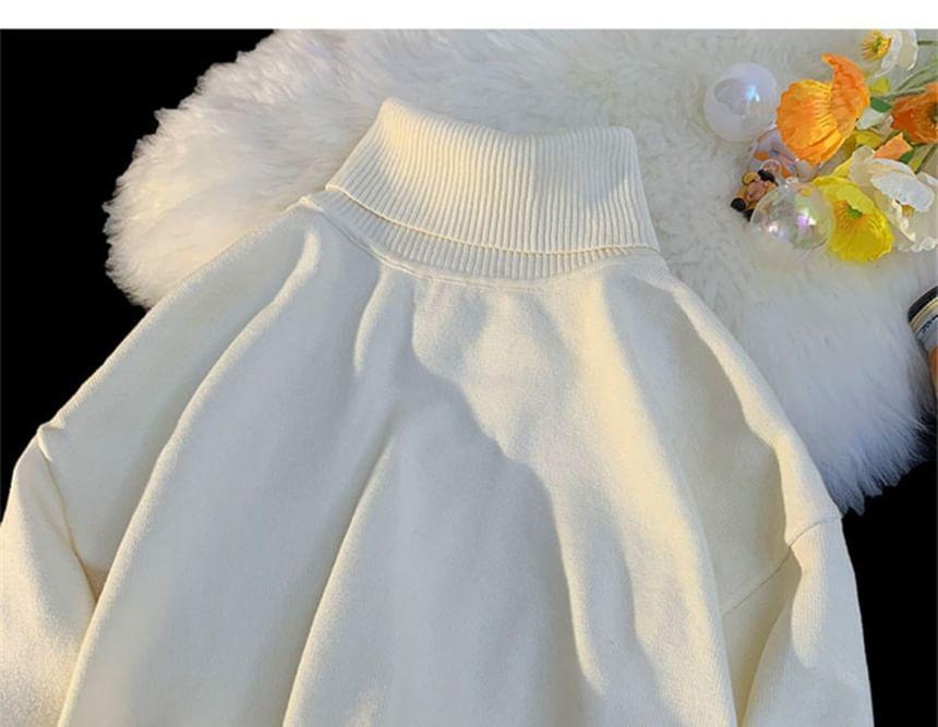 Turtleneck Plain Sweater Product Image