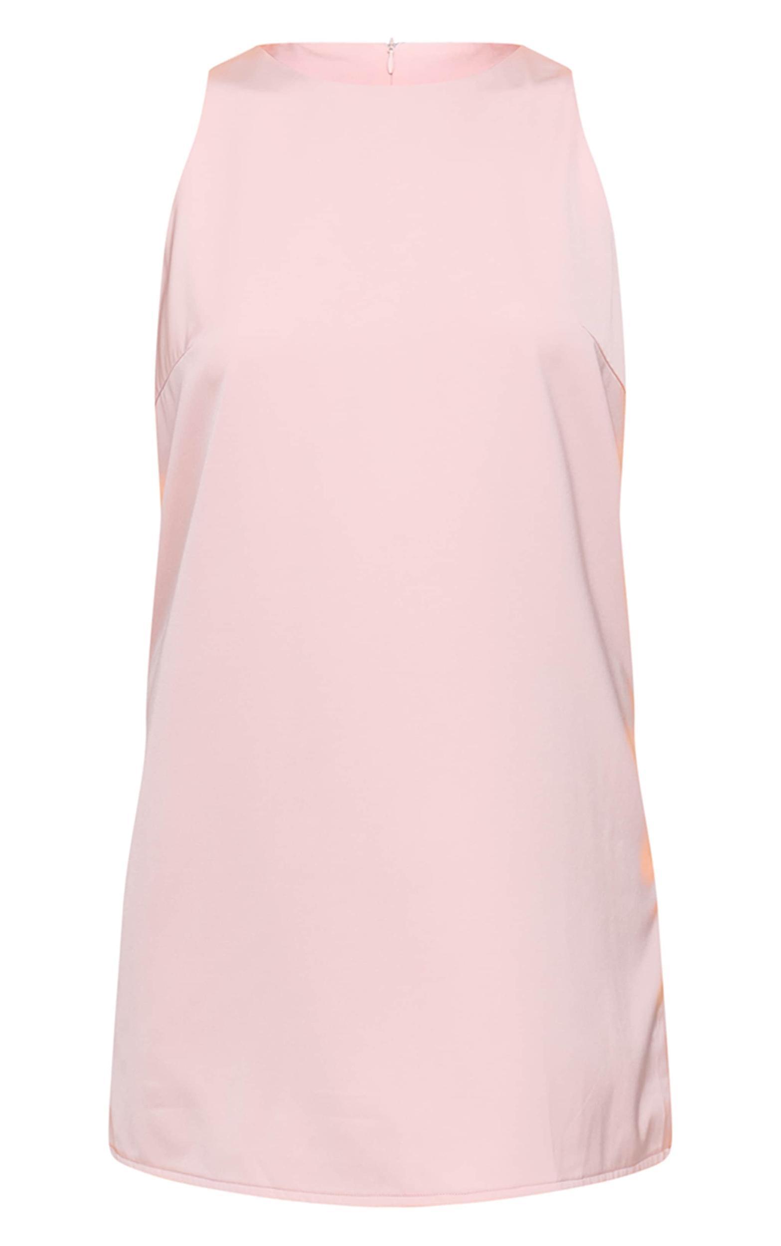 Blush Tailored Sleeveless Shift Dress Product Image