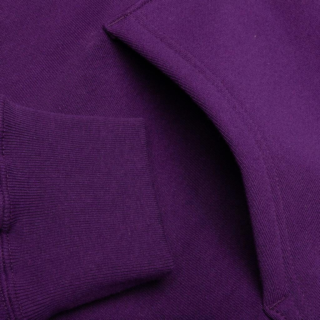 College Relaxed Fit Full Zip Hoodie - Purple Male Product Image