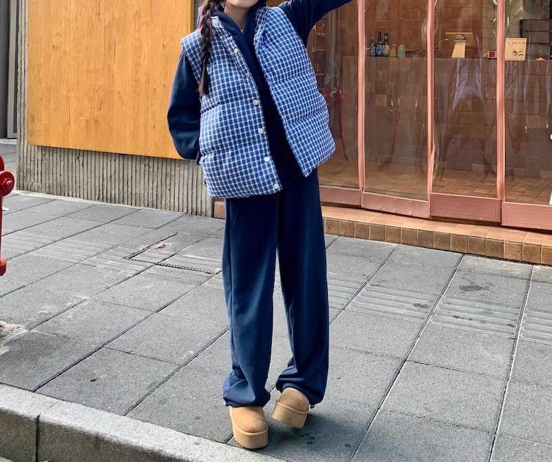 Paid Button-Up Puffer Vest Product Image