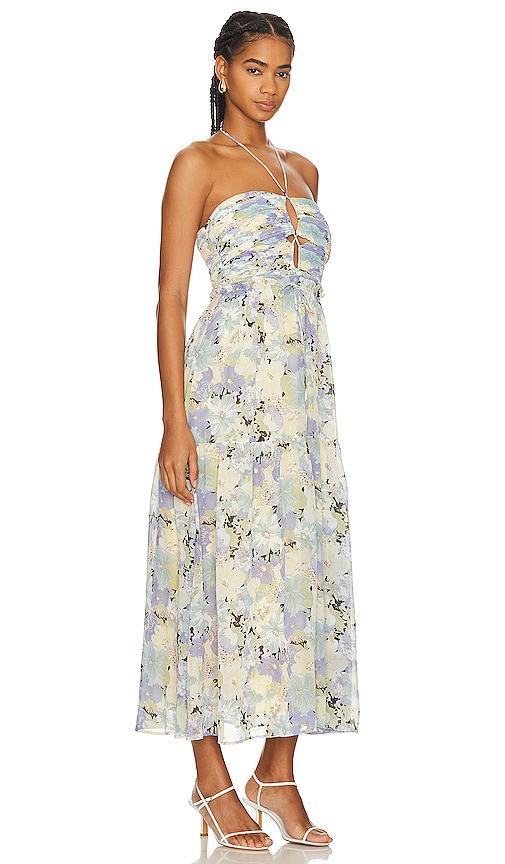 Rozina Dress ASTR the Label Product Image