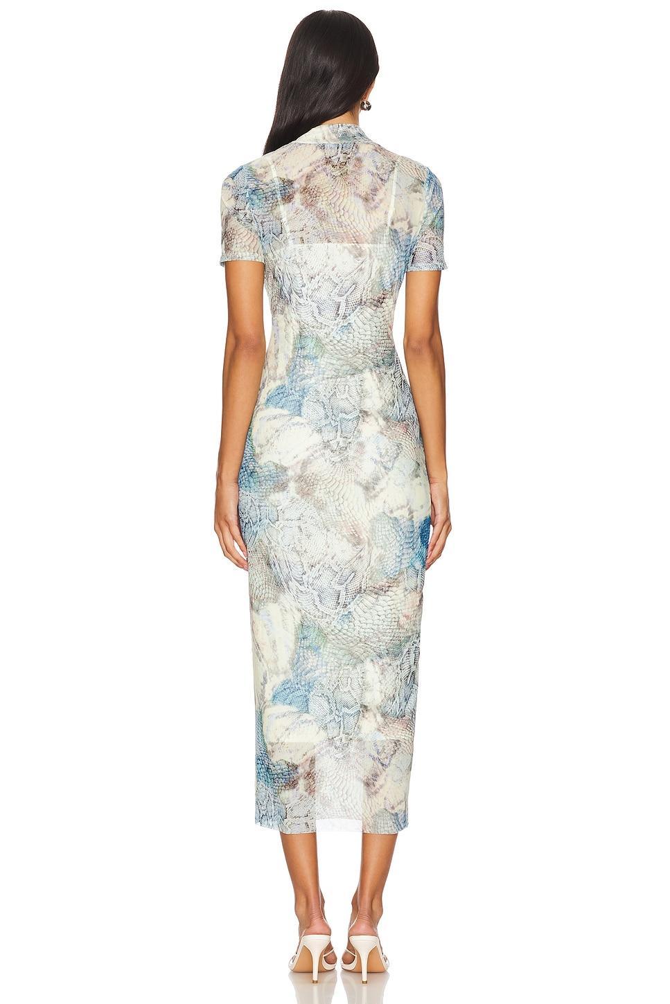Viv Dress Steve Madden Product Image