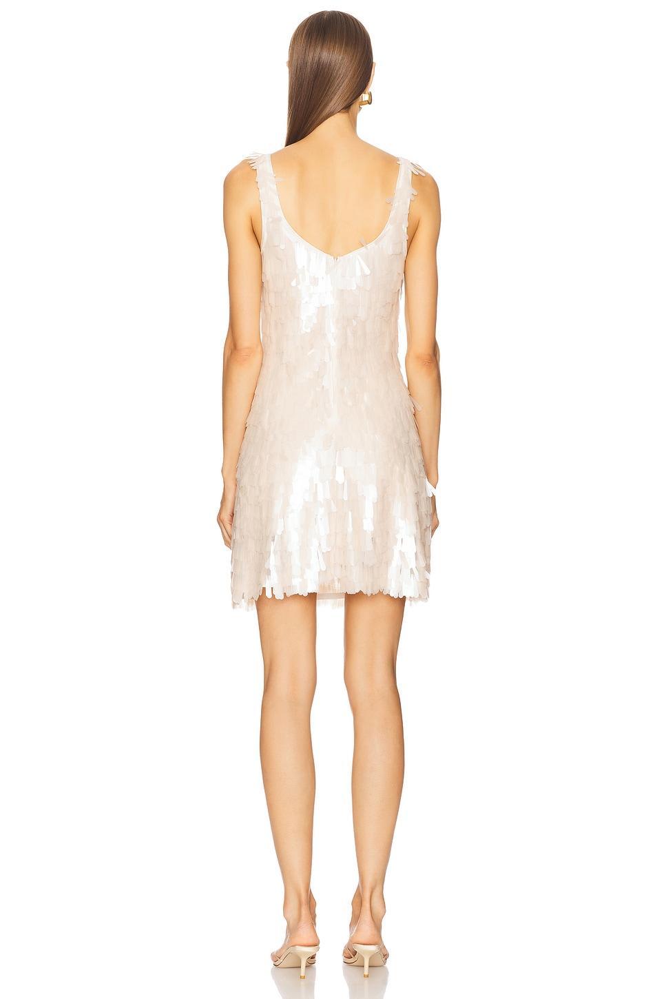 Onyx Mini Dress SIMKHAI Product Image