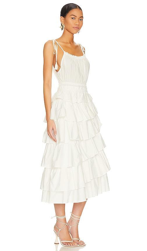 Mireya Midi Dress Steve Madden Product Image