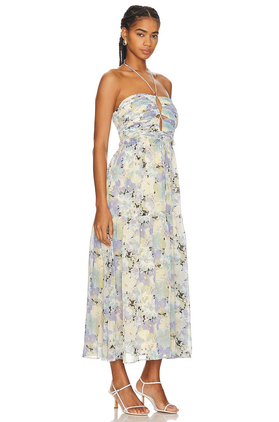 Rozina Dress ASTR the Label Product Image