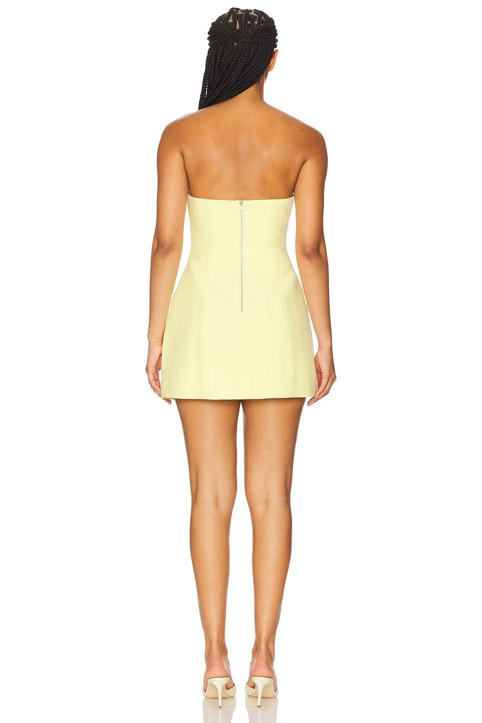 Karoline Hourglass Mini Dress Bardot Product Image