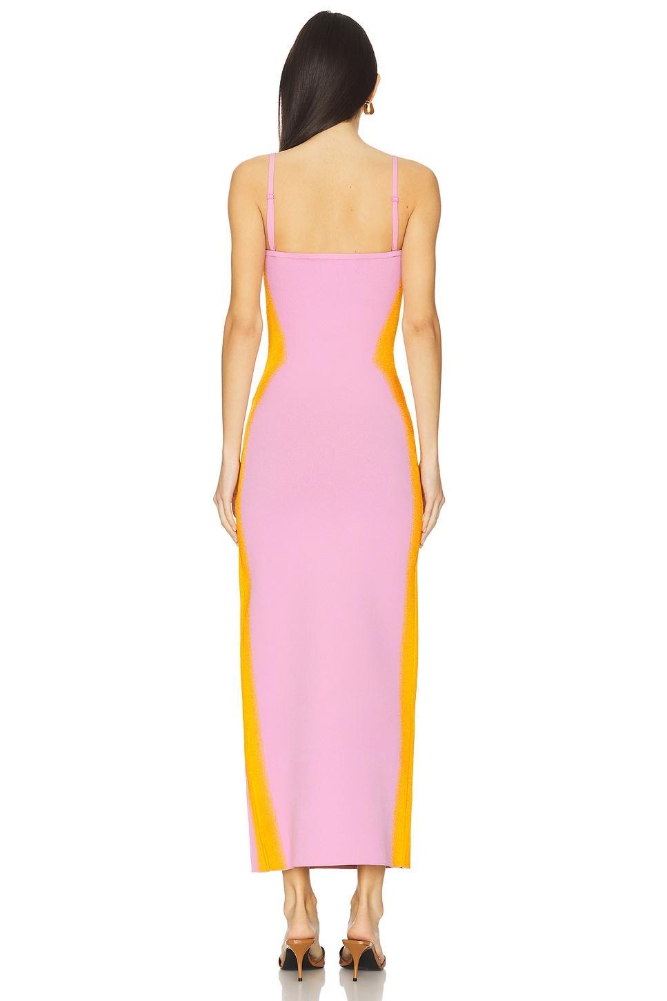 Iris Flower Print Maxi Tank Dress PH5 Product Image