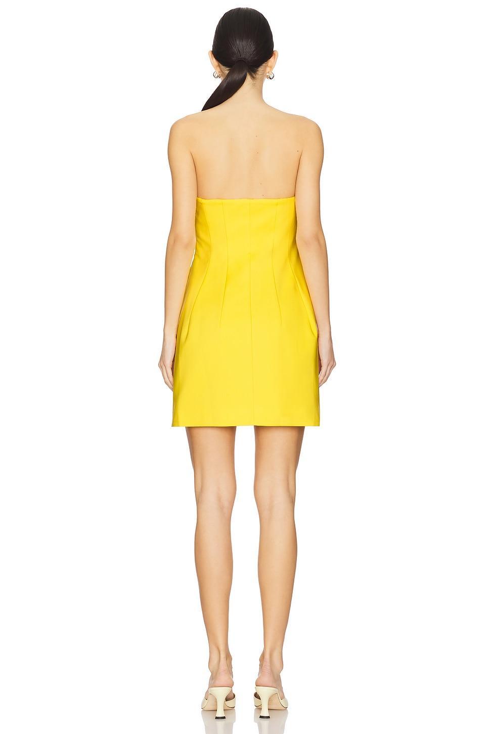Arta Bustier Mini Dress SIMKHAI Product Image