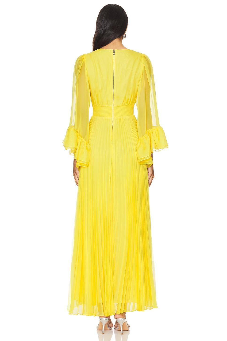 Selene Maxi Dress Alice + Olivia Product Image