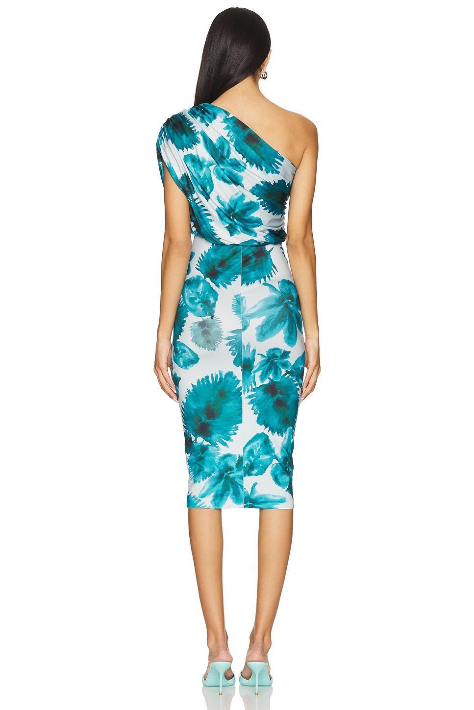 Dupree Midi Dress Amanda Uprichard Product Image