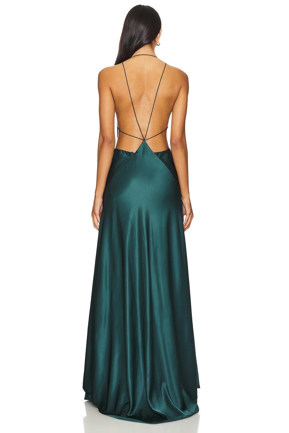 Tash Silk Maxi Dress Product Image