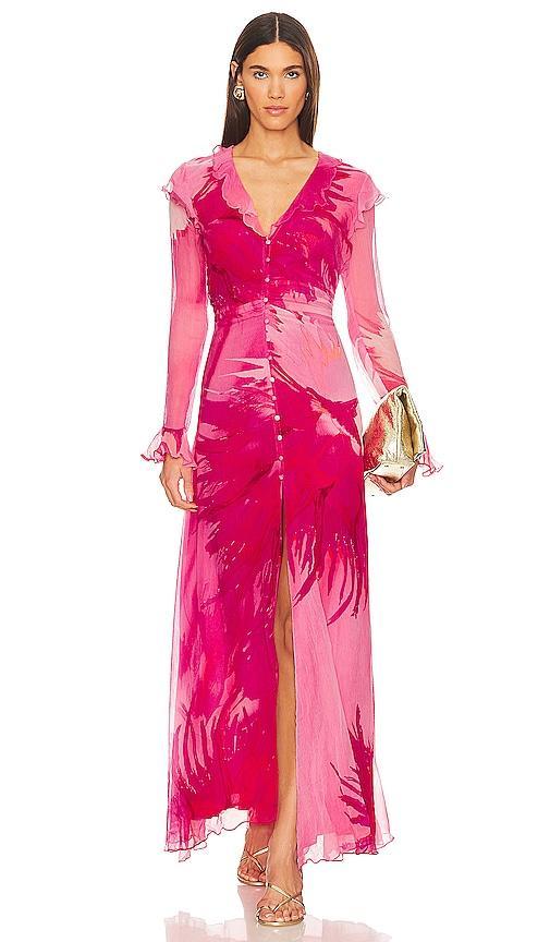 Abira Maxi Dress Product Image