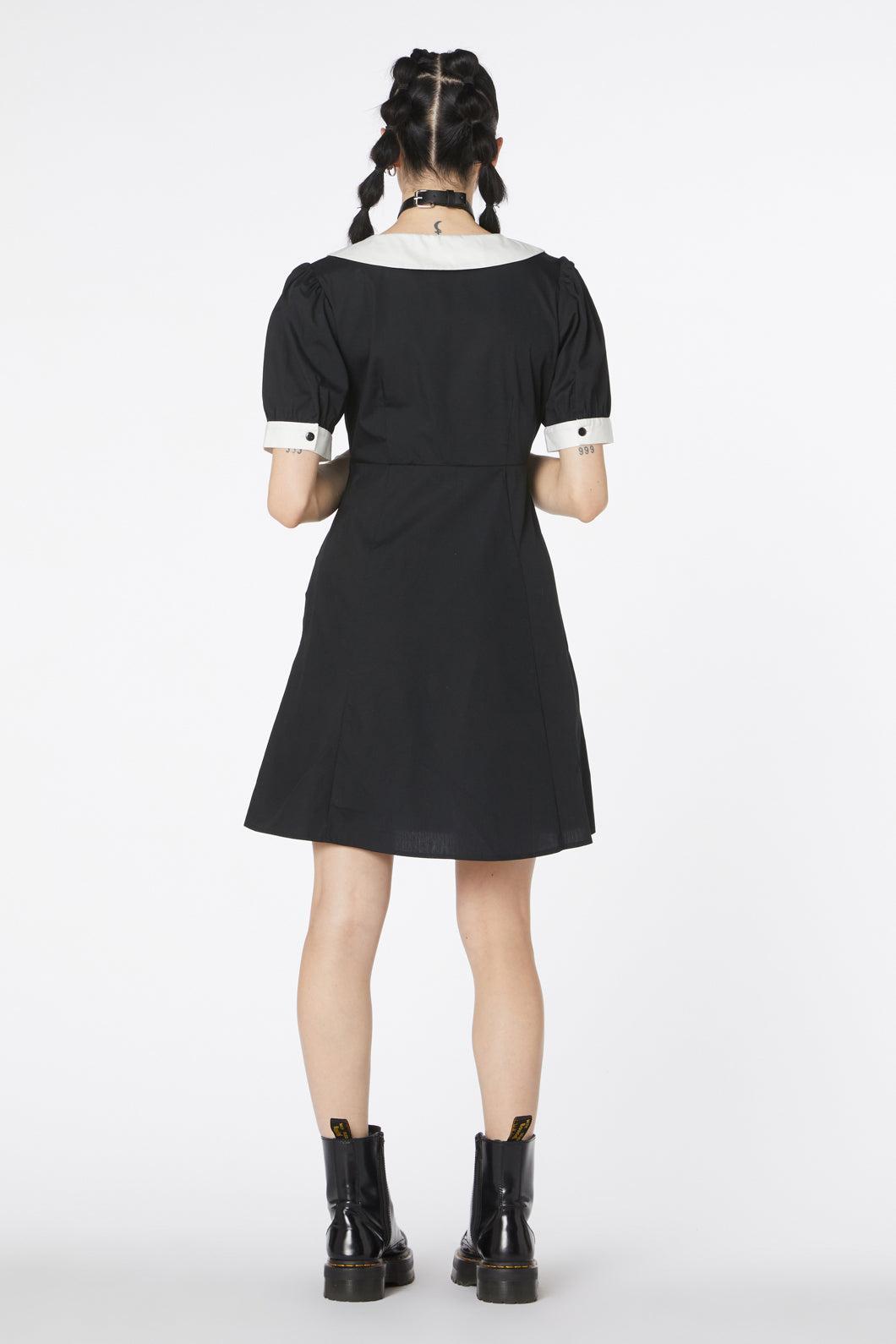 Puppy Embroidery Dress Product Image