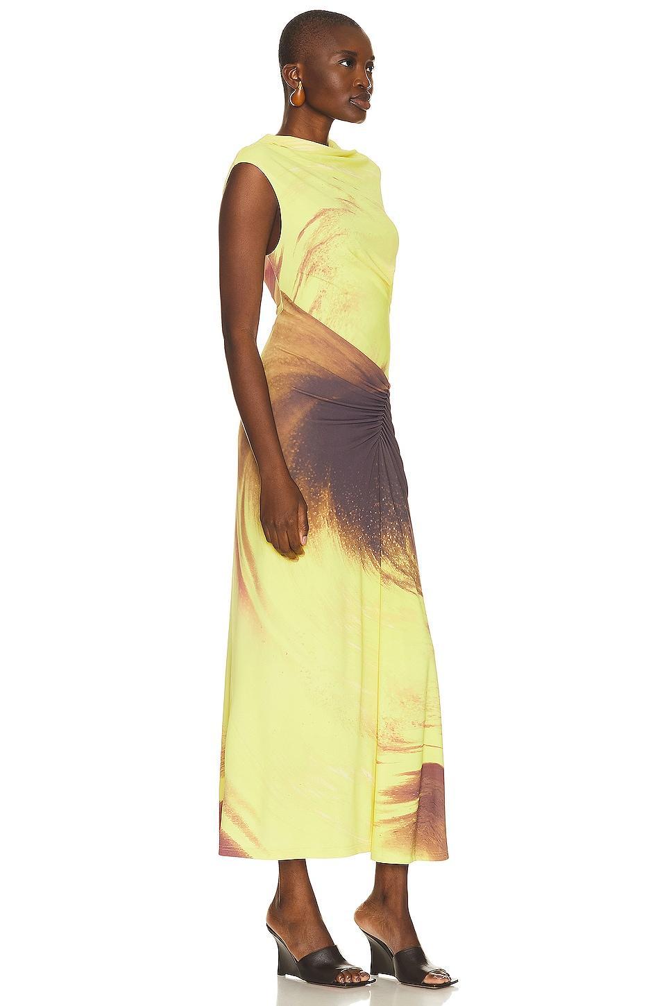 Simkhai Acacia Printed Maxi Dress Product Image