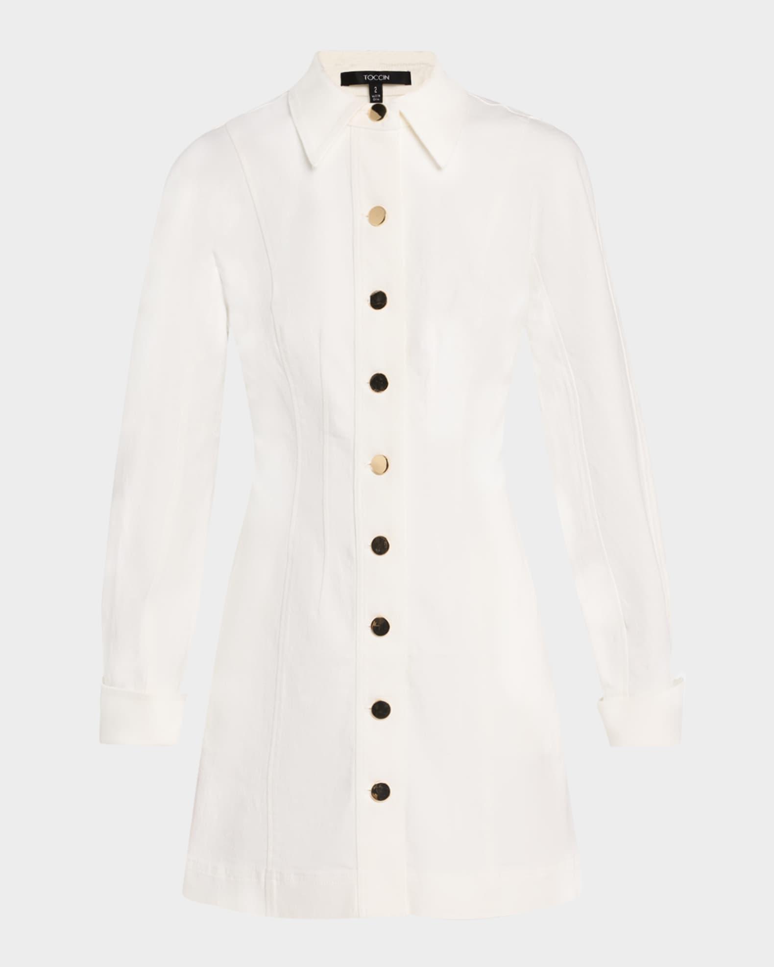 Alexa Denim Seamed Mini Dress Product Image