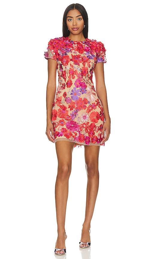 Performance Dress ELLIATT Product Image
