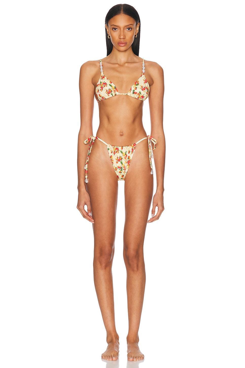 Kourtney Bikini Bottom Product Image