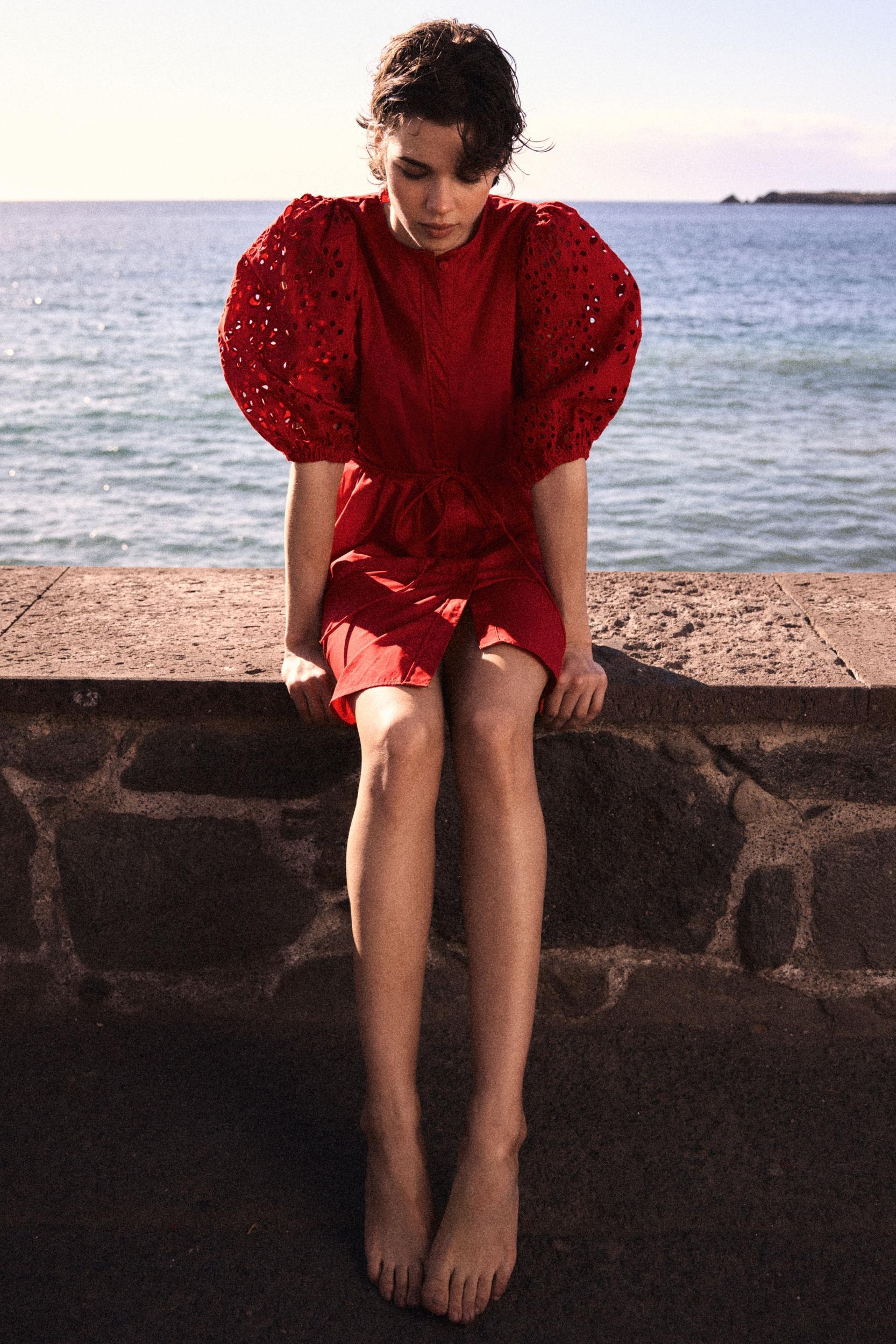 Dress with Eyelet-Embroidered Sleeves Product Image