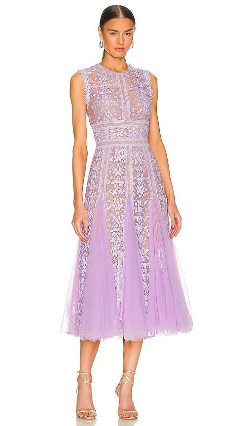 Megan Midi Dress Bronx and Banco Product Image