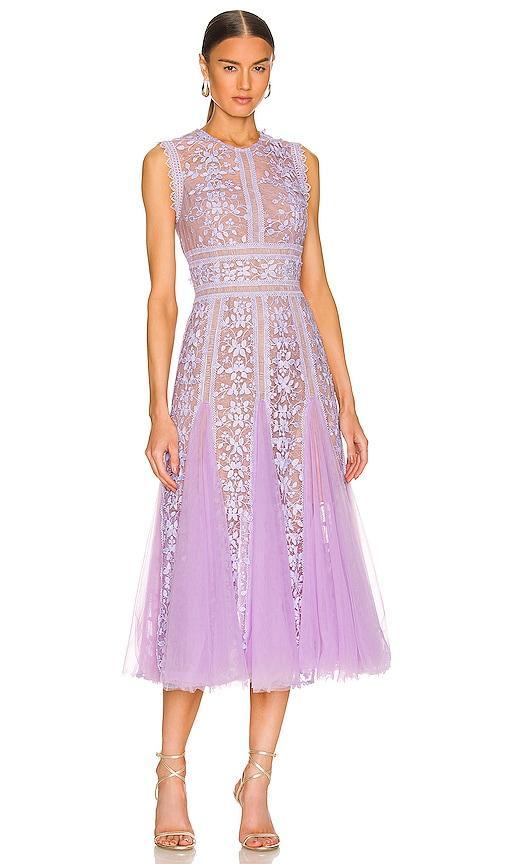 Megan Midi Dress Bronx and Banco Product Image