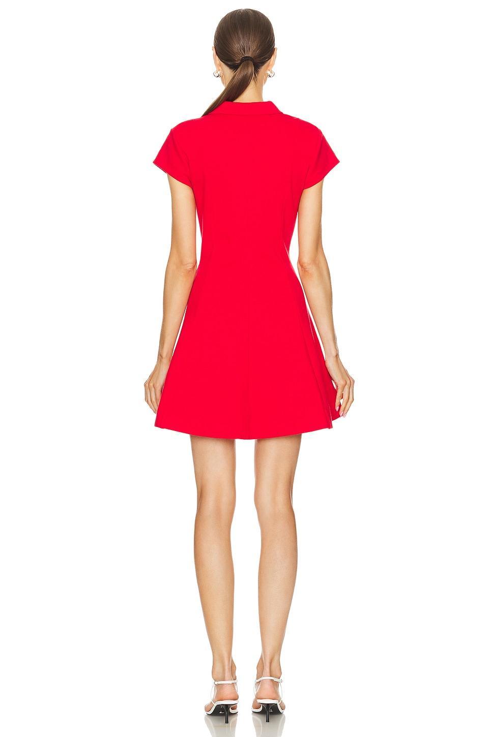 Maia Mini Dress Product Image