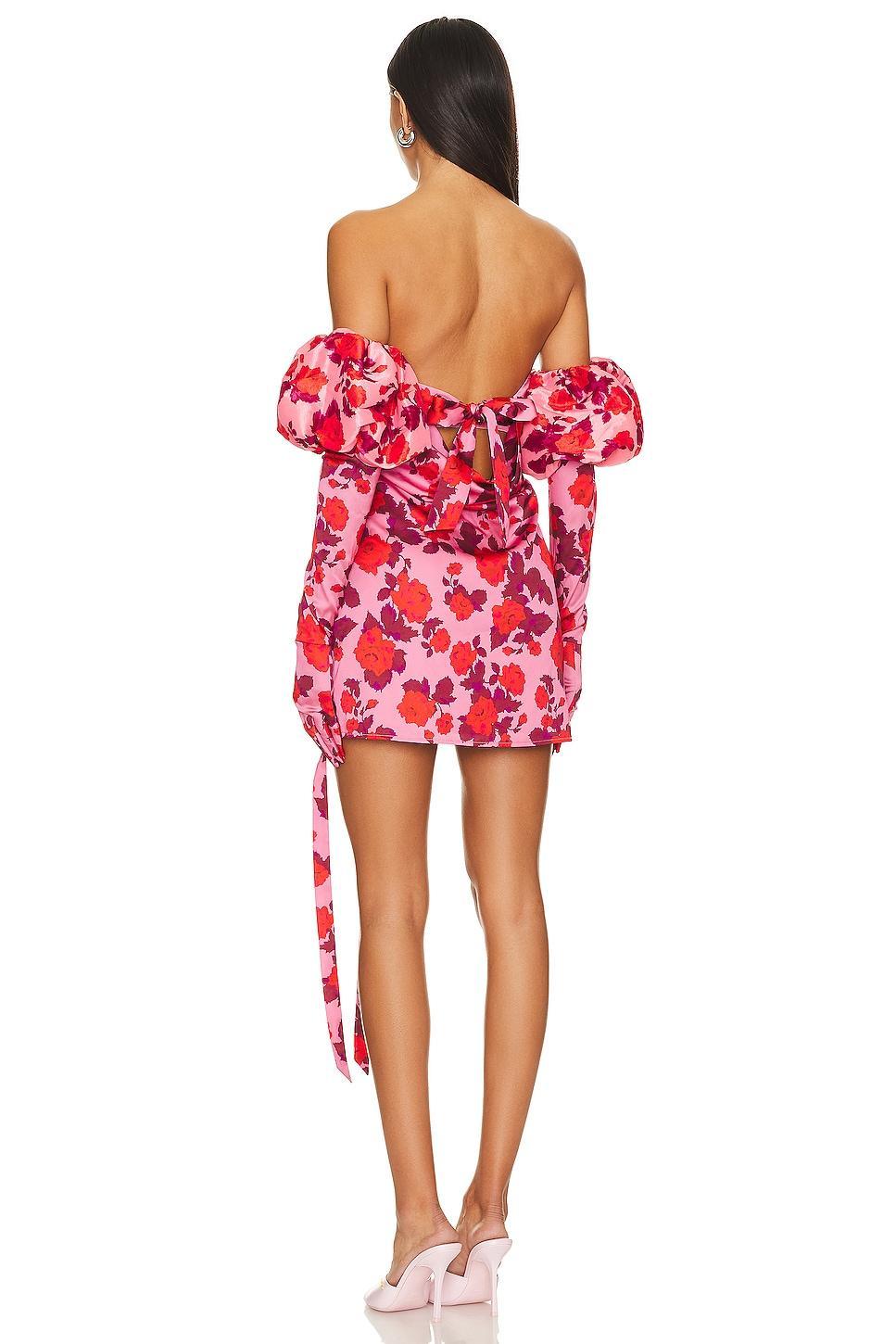 Huda Mini Dress For Love & Lemons Product Image