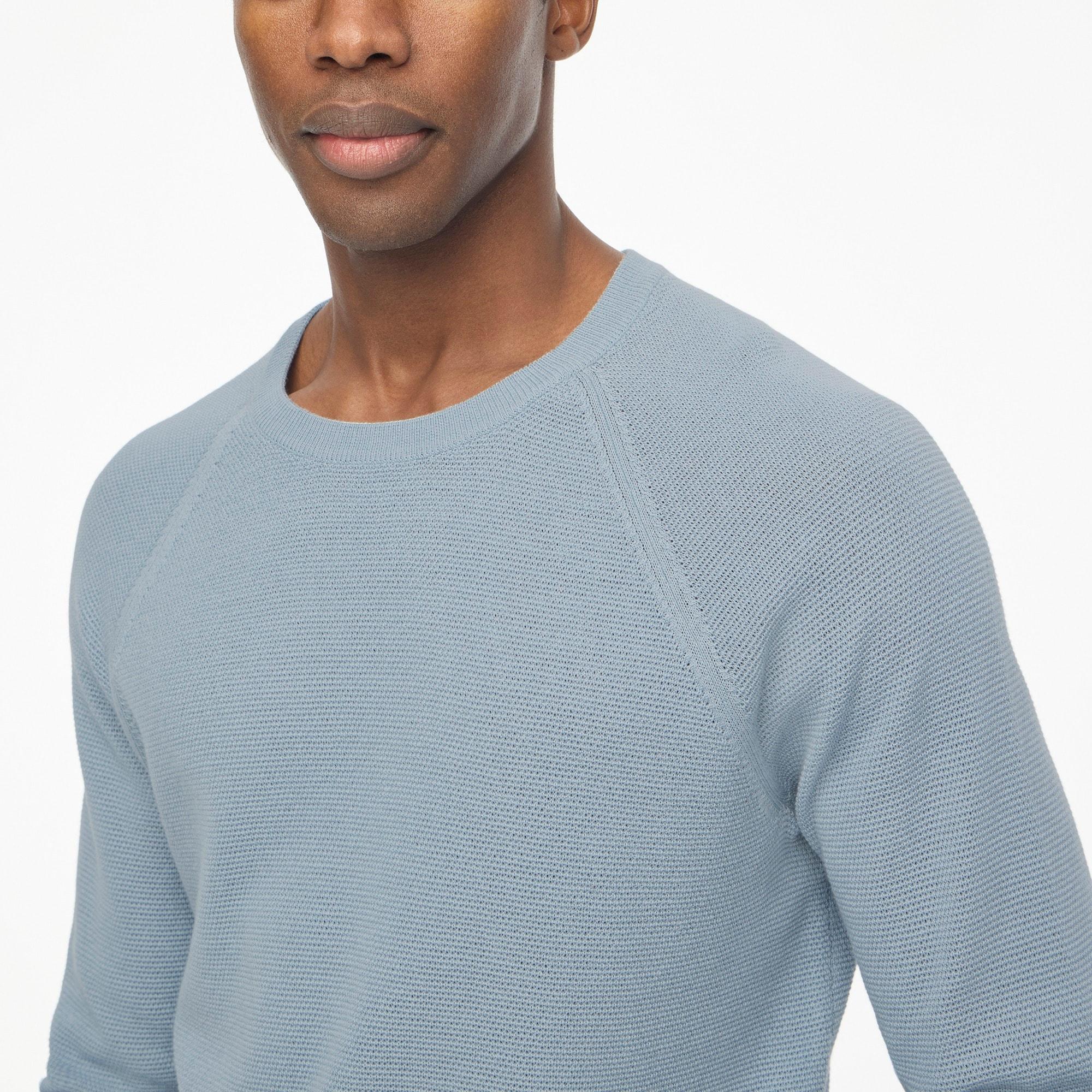Cotton seed-stitch crewneck sweater Product Image