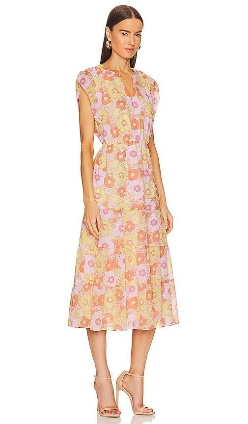 Leigh Midi Dress Steve Madden Product Image